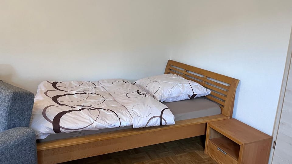 Bed, Living room, Photo of the whole room, Bedroom