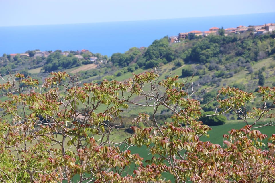 View (from property/room), Sea view