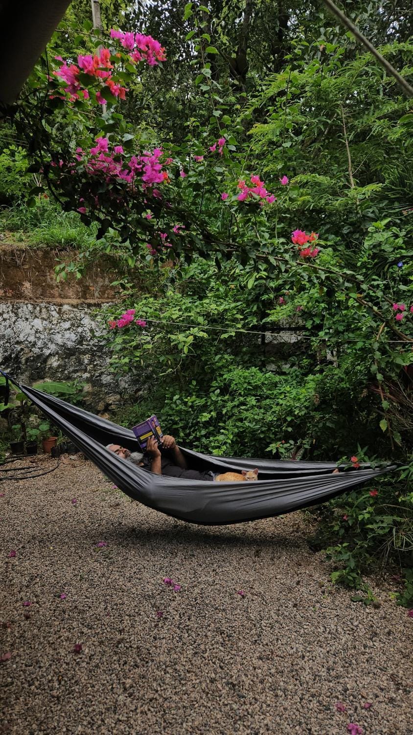 Natural landscape, Garden view