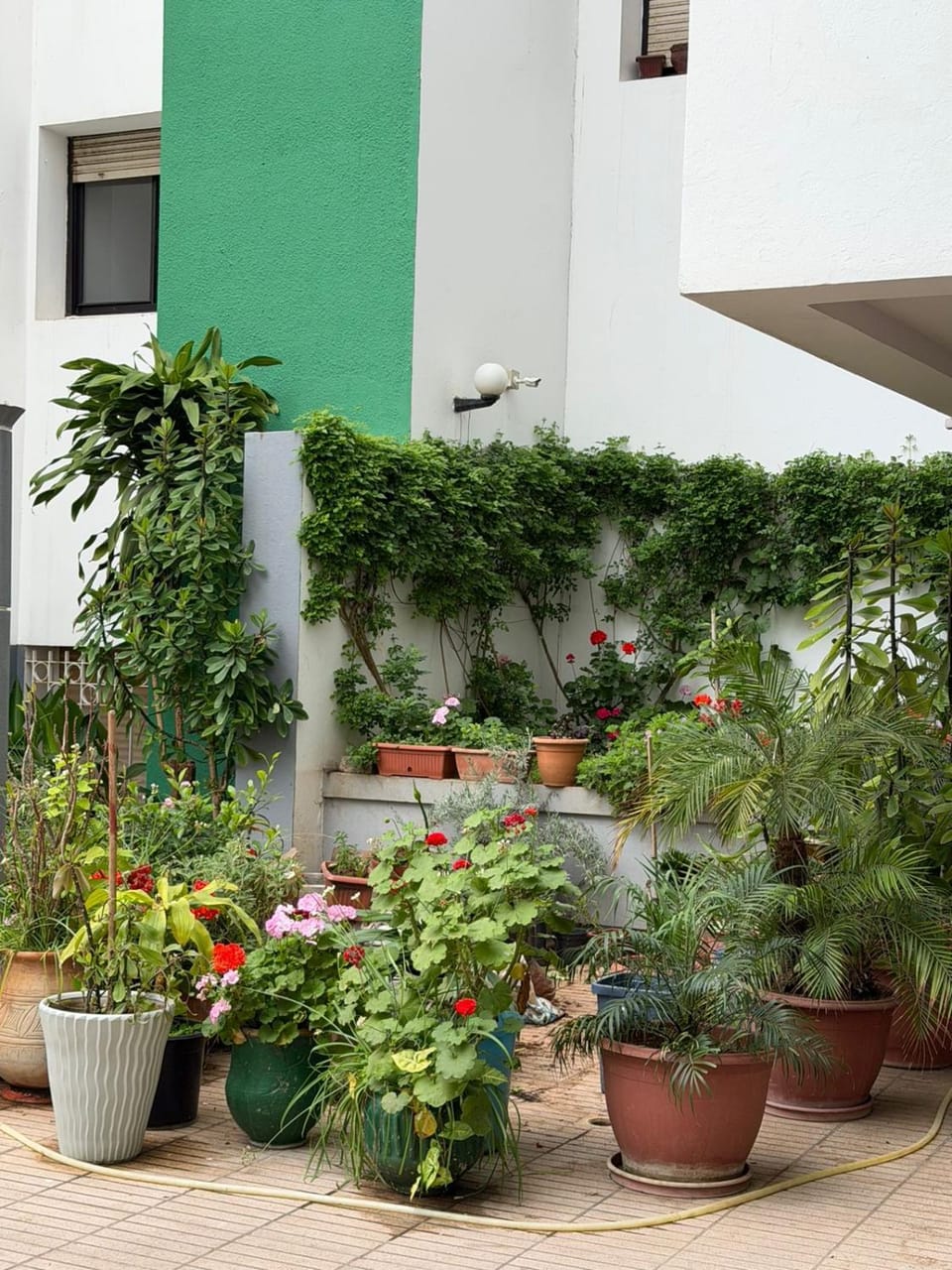 Le lux de rabat agdal Apartment in Rabat