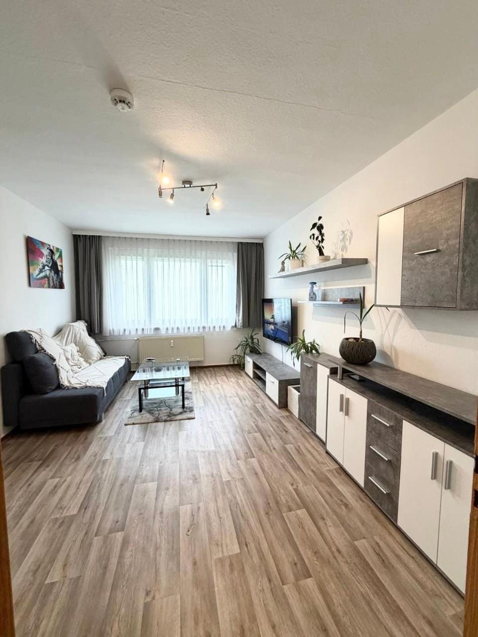 TV and multimedia, Living room, Seating area, heating, pet friendly
