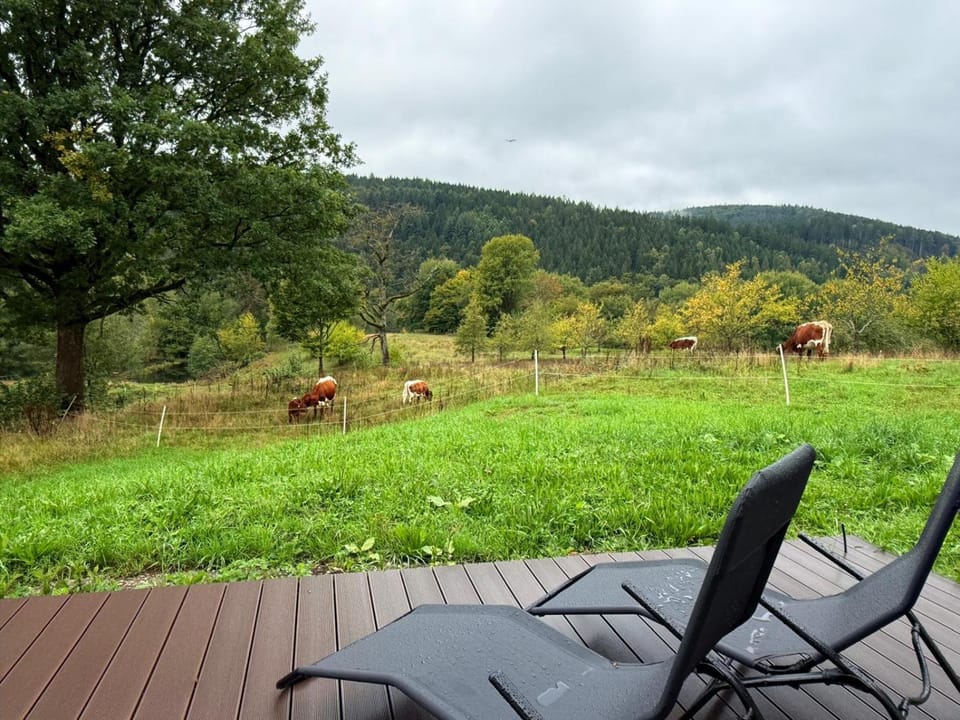 Ferienpark Ziegelhütte House in Hesse