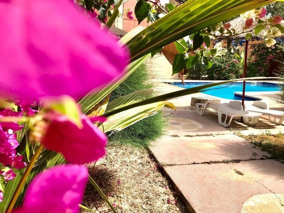 HÔTEL LE DJIOSFALA miroir de la Terranga Bed and Breakfast in Senegal