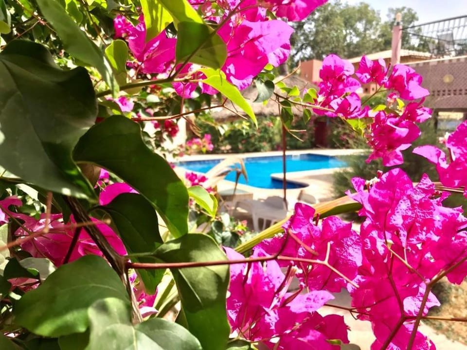 HÔTEL LE DJIOSFALA miroir de la Terranga Bed and Breakfast in Senegal