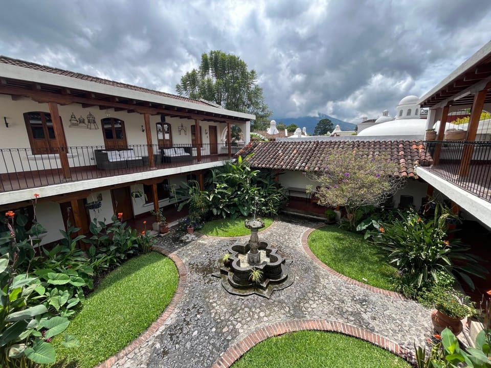 Garden, Garden view, Garden view