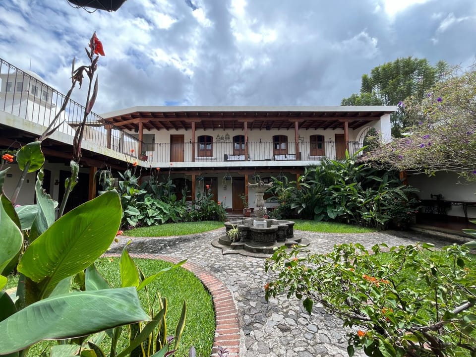 Garden, Garden view, Garden view