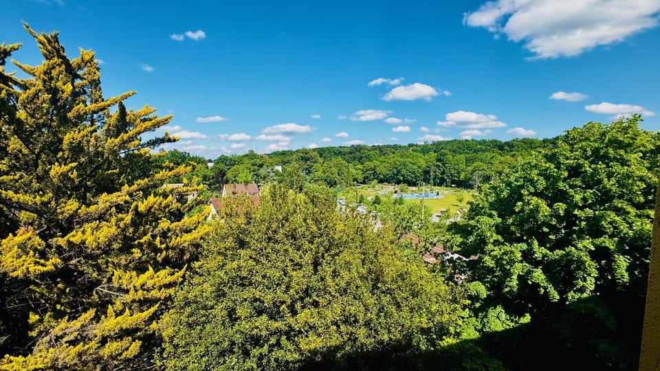 Children play ground, View (from property/room), Sports