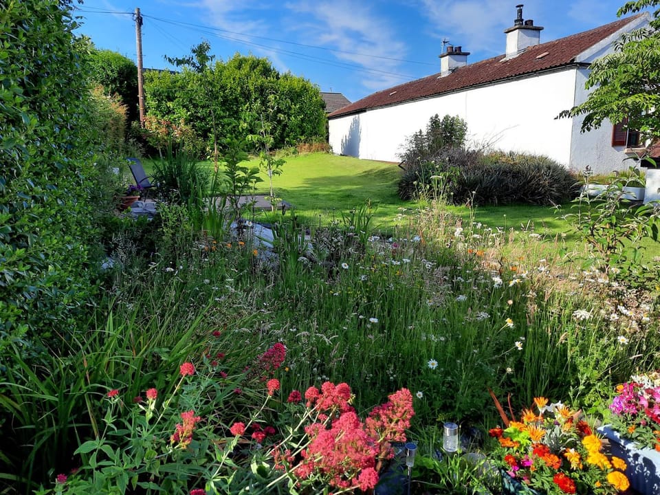Day, Garden, Garden view