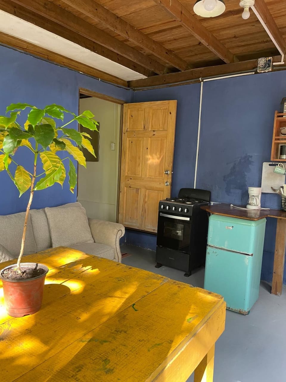 Calm jungle retreat Apartment in Bocas del Toro Province
