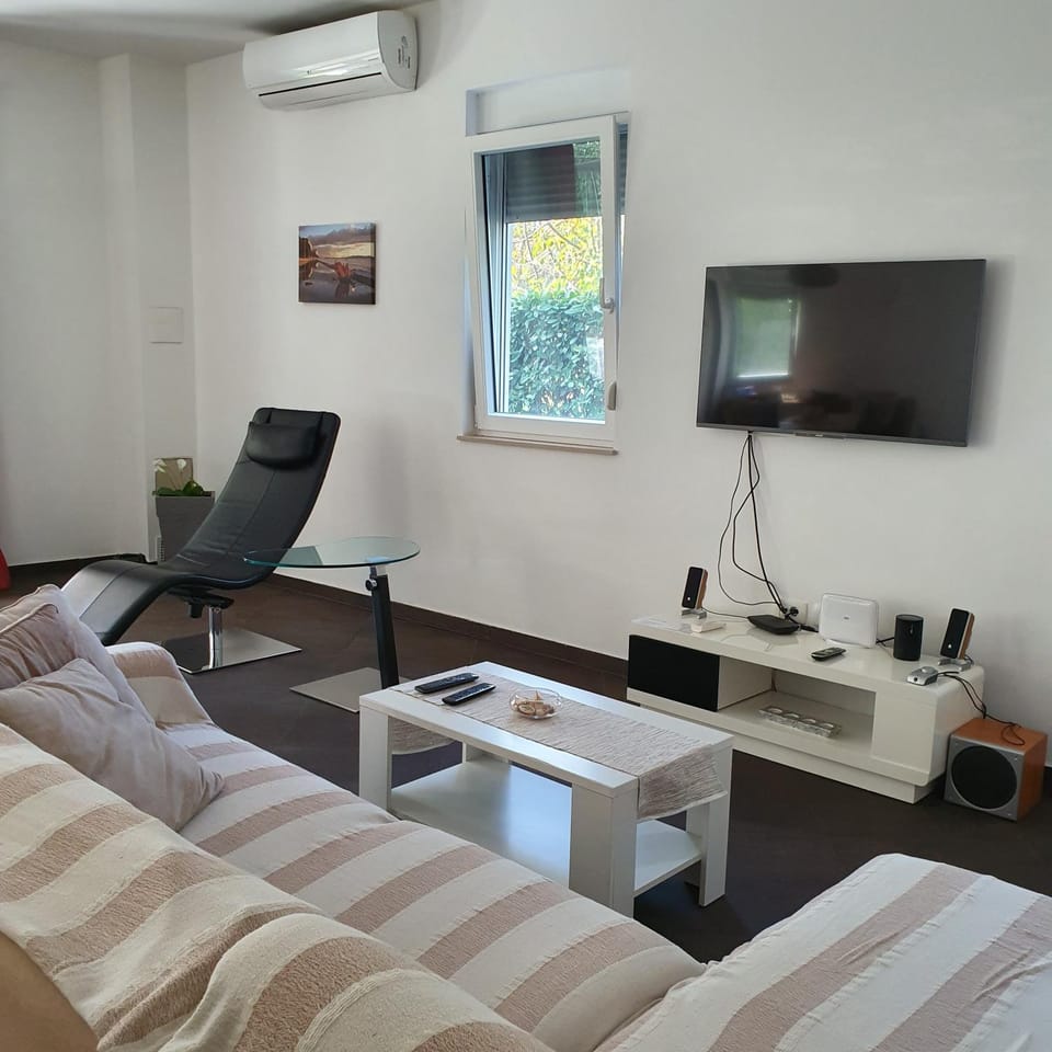 Communal lounge/ TV room, TV and multimedia