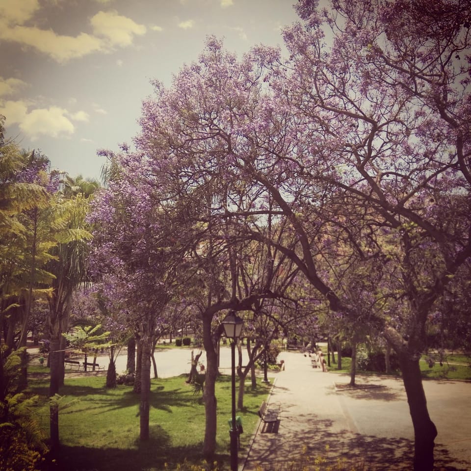 Natural landscape