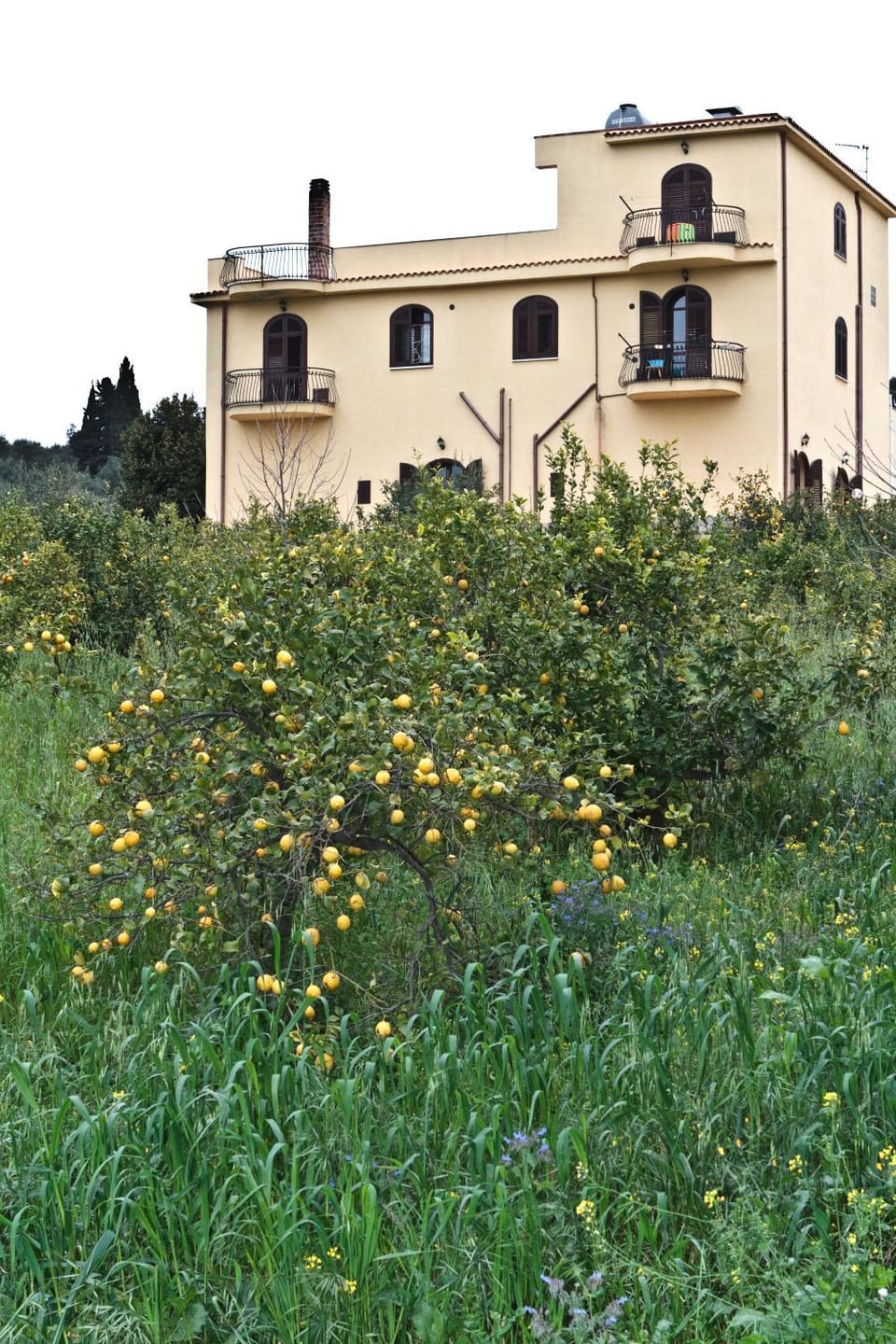 Landmark view