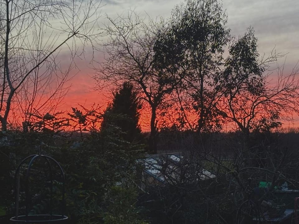 Fables - storybook cottage, Suffolk sunsets House in Babergh District