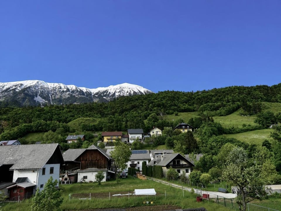 Rooms Zima Bed and Breakfast in Carinthia, Austria