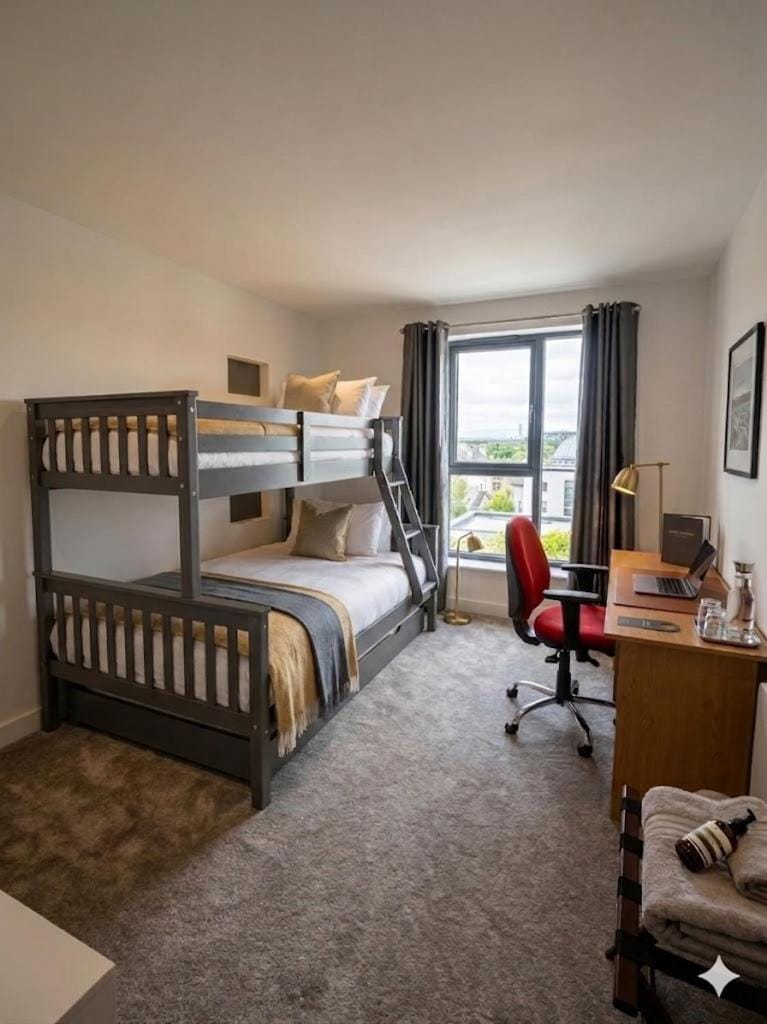 Modern Galway Apartment Balcony Parking Sleeps 5 Apartment in Galway