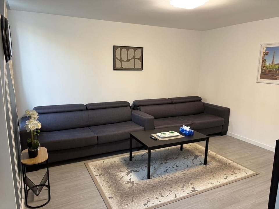 Appartement centre-ville Mulhouse Apartment in Mulhouse