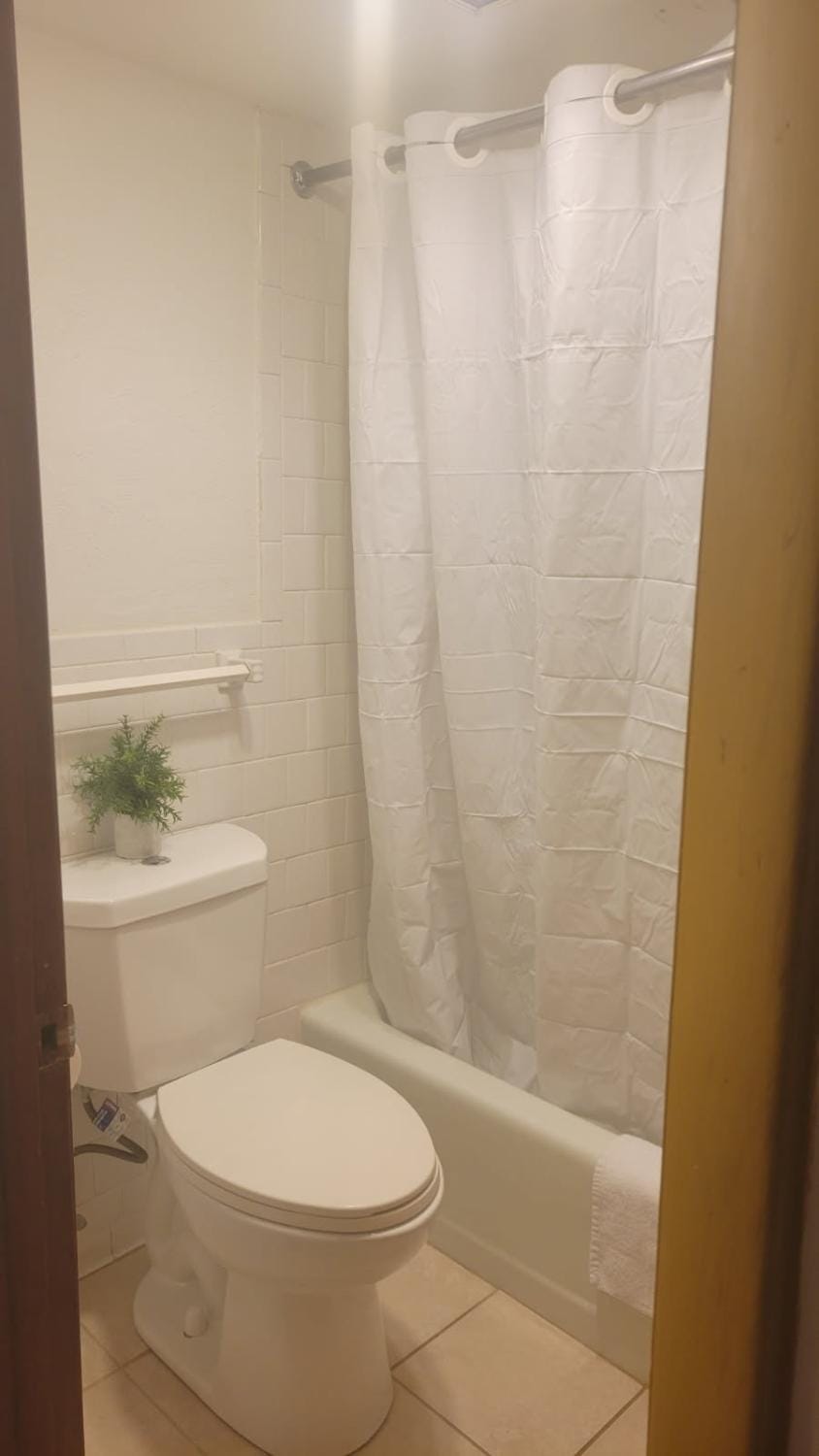 Toilet, Bathroom, Bath