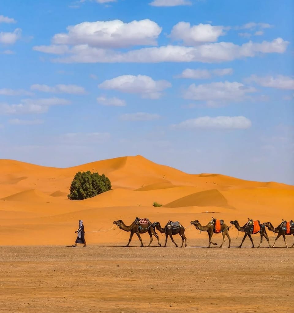 Day, People, Natural landscape, group of guests