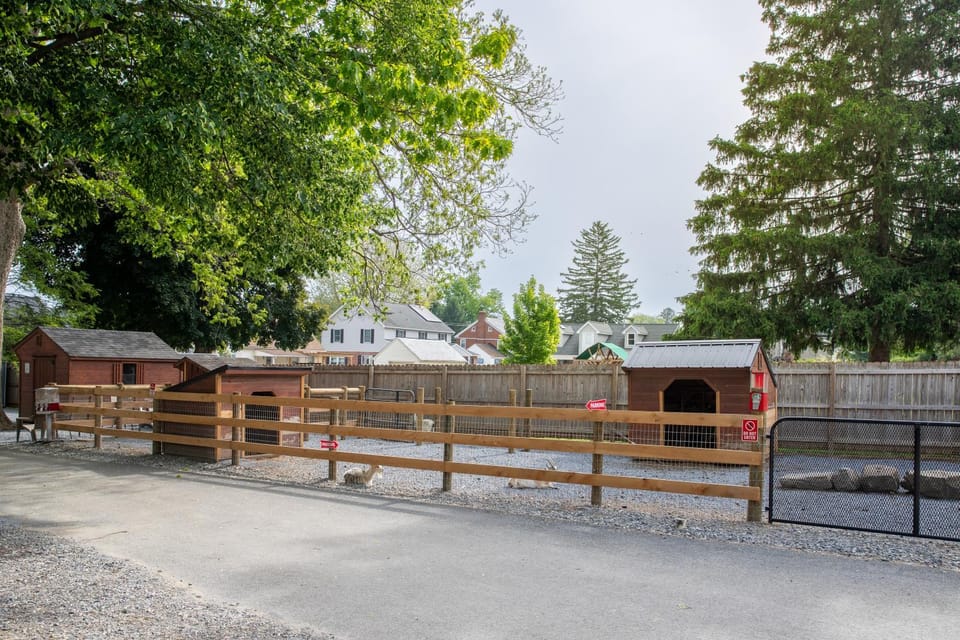 Garden, Animals, On site