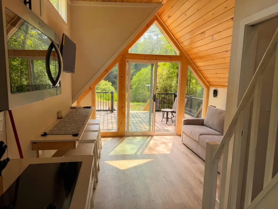 NEW BUILD A-frame TinyHouse on Pond near Asheville House in Woodfin