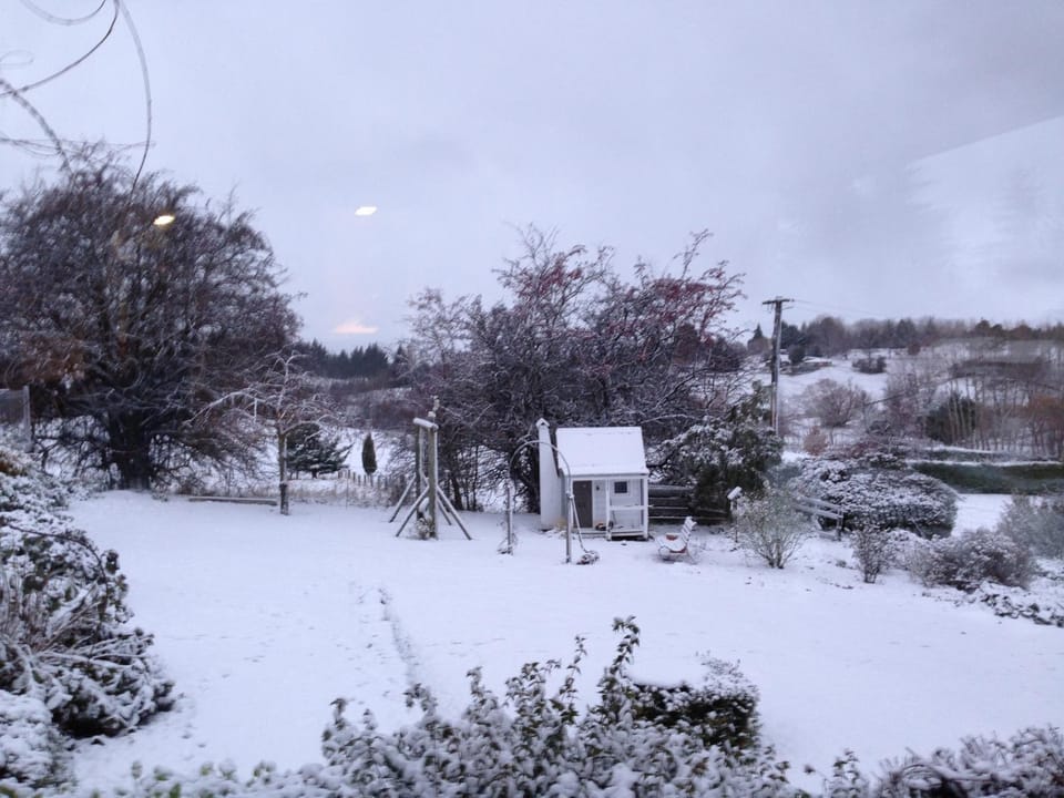Winter, Garden