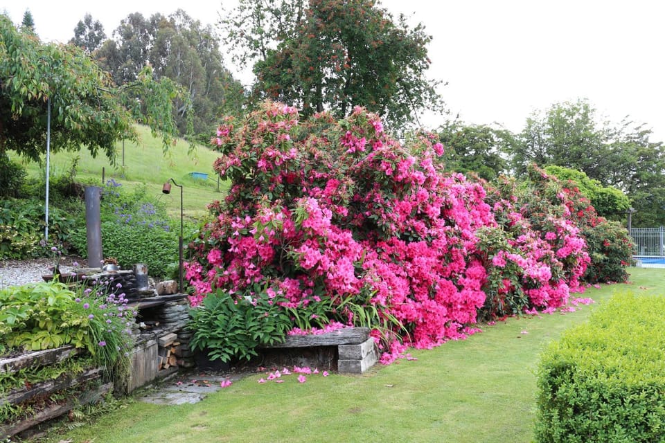 Garden, Garden view
