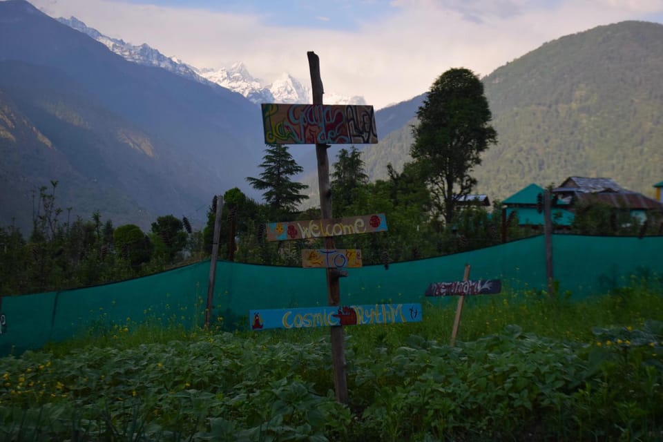 Alex Tribe Cafe and Funstay Hostel in Himachal Pradesh