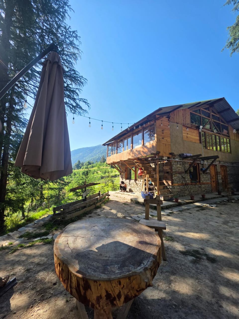 Alex Tribe Cafe and Funstay Hostel in Himachal Pradesh