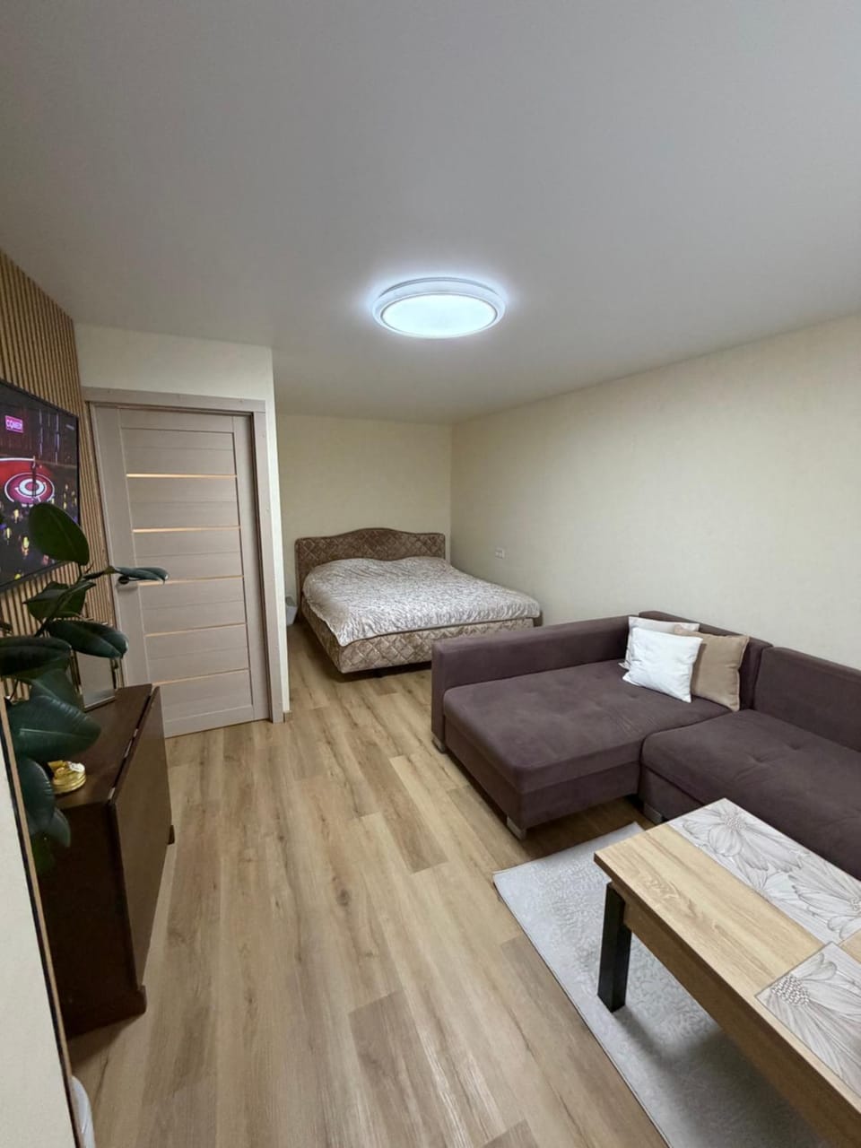 Bed, Seating area, Bedroom