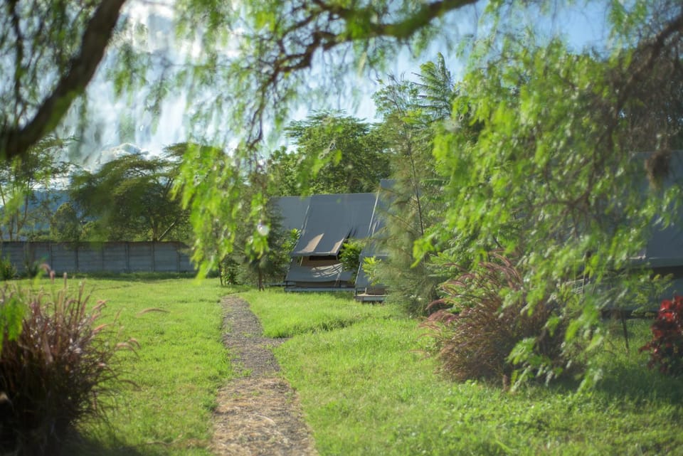Property building, Garden