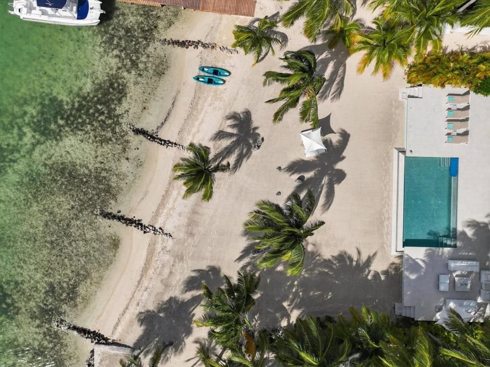 Bird's eye view, Beach