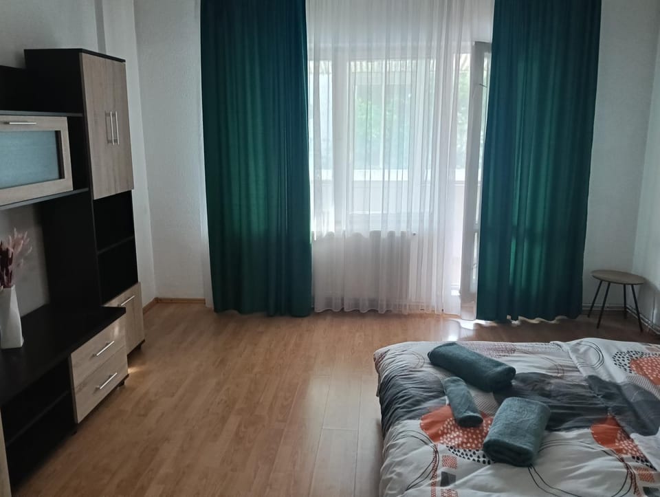 Tudor Fortuna 1 camera Apartment in Romania