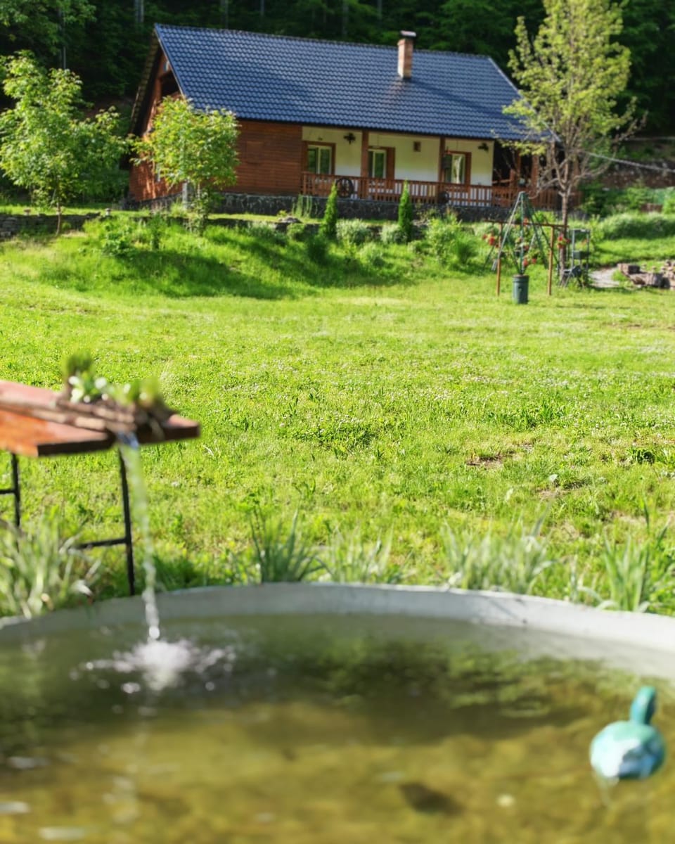 Cabana Tarța din Blidari 1 Nature lodge in Romania