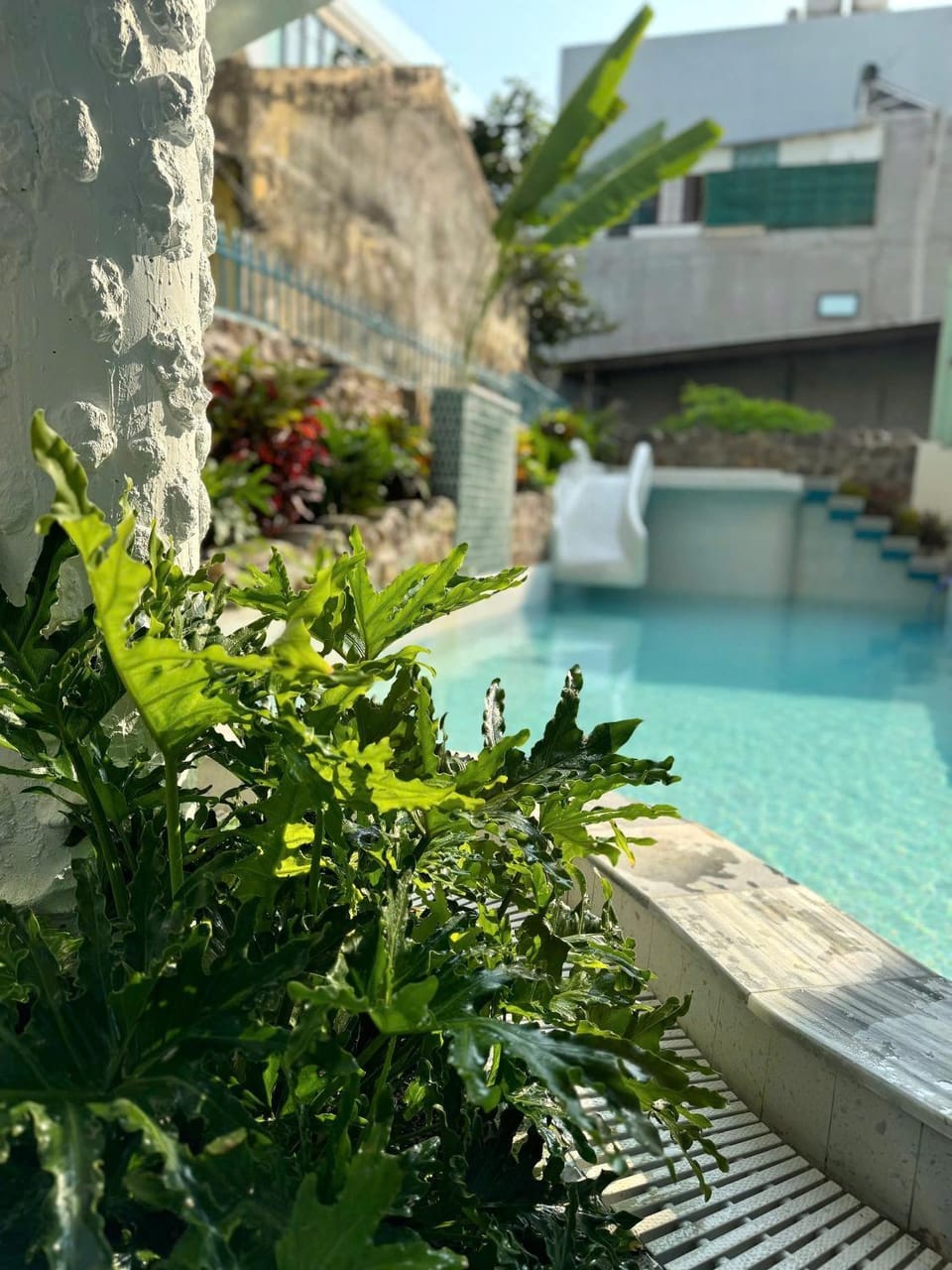 Swimming pool