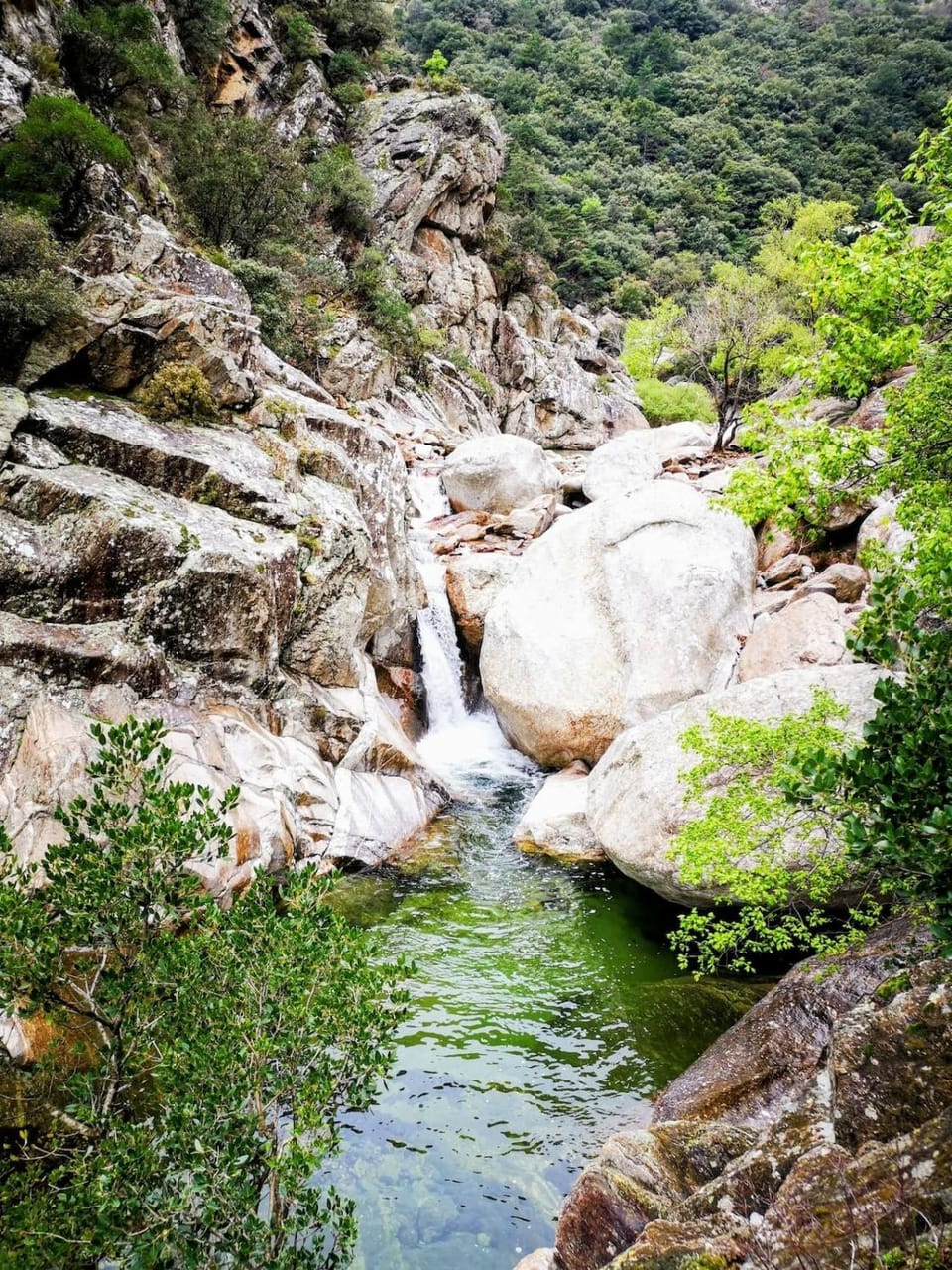 Natural landscape
