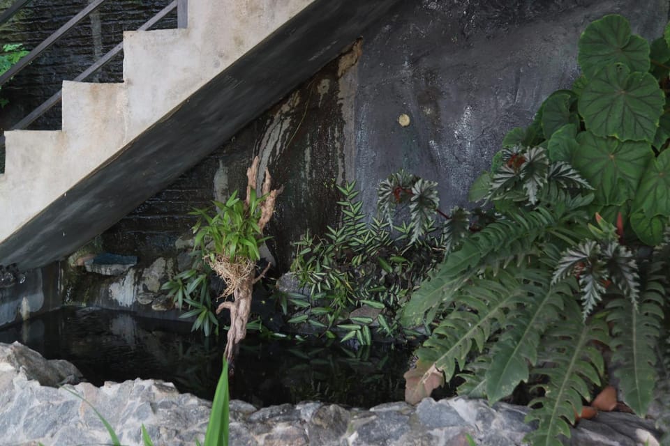 BNF Villa Vacation rental in Kandy