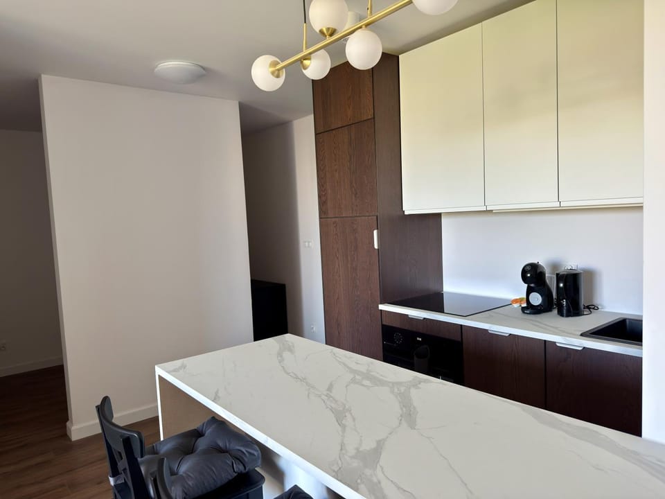 Kitchen or kitchenette, kitchen