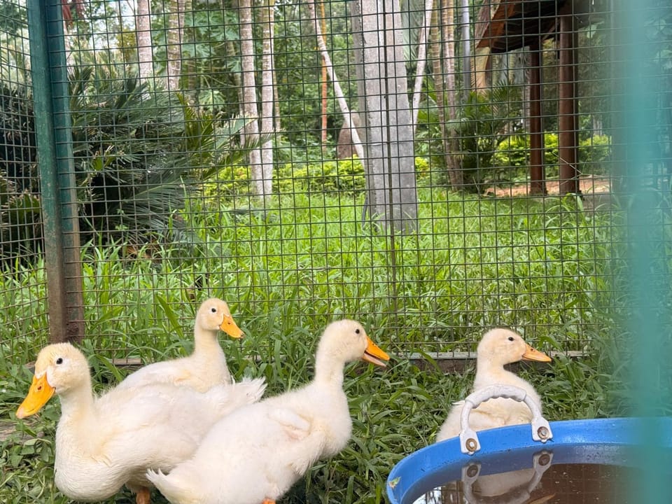 Seethagaddhe farm Vacation rental in Karnataka