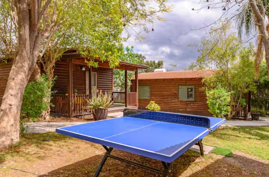 Table tennis