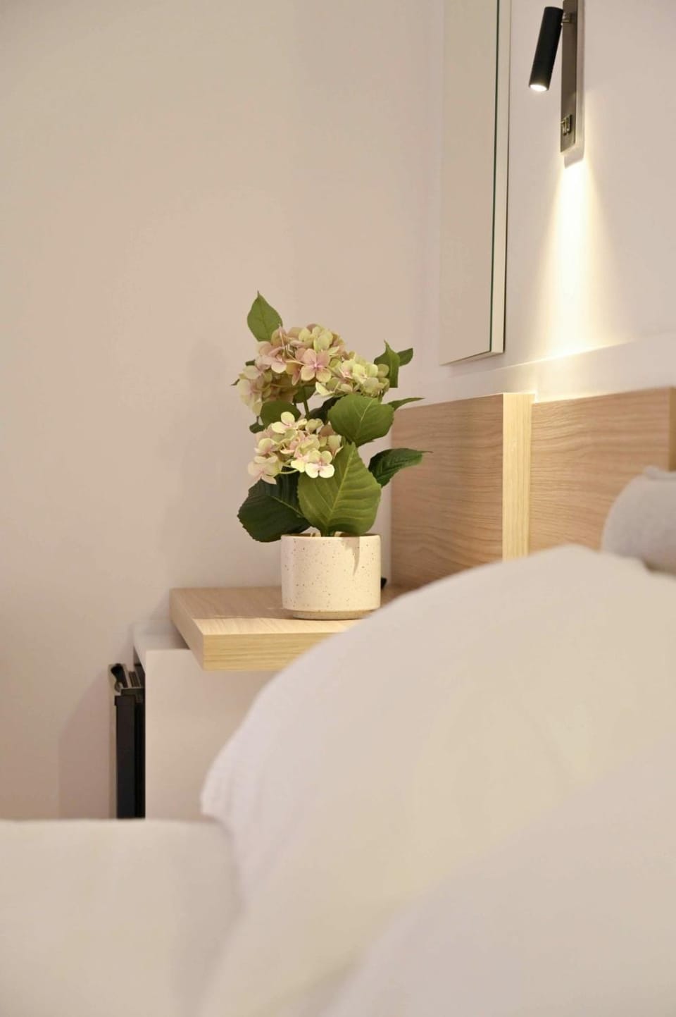 Adriatic Breeze Rooms Bed and Breakfast in Mola di Bari