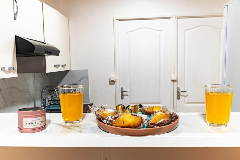 Renovated Duplex in the Heart of Romilly Apartment in Grand Est