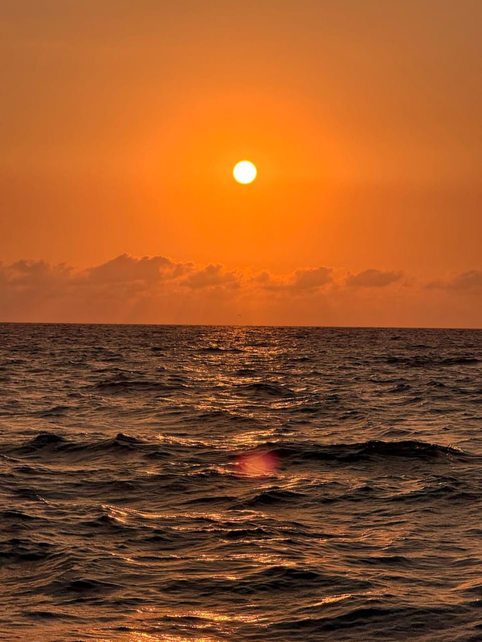 Artist Tiny Home Near Surf Town Fast WiFi Netflix Pet Friendly Bed and Breakfast in La Union