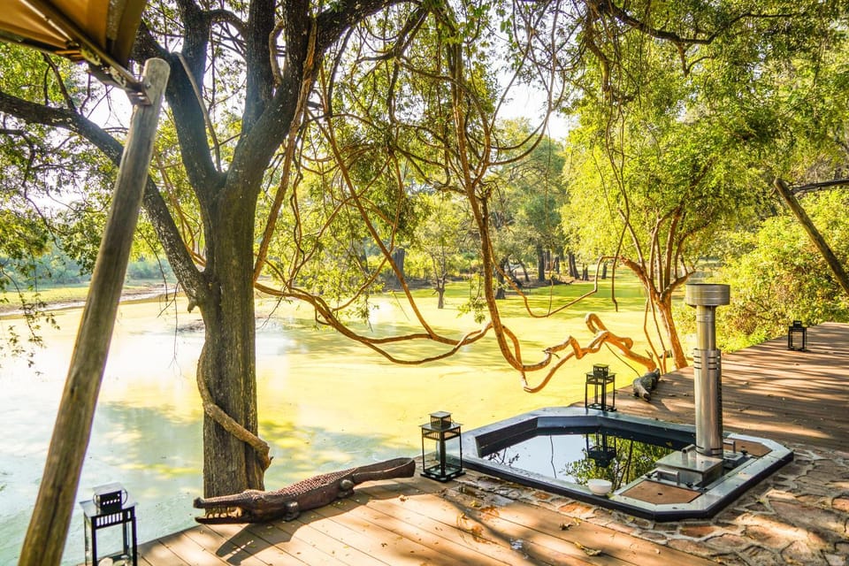 Painted Dogs Lagoon Nature lodge in Zambia
