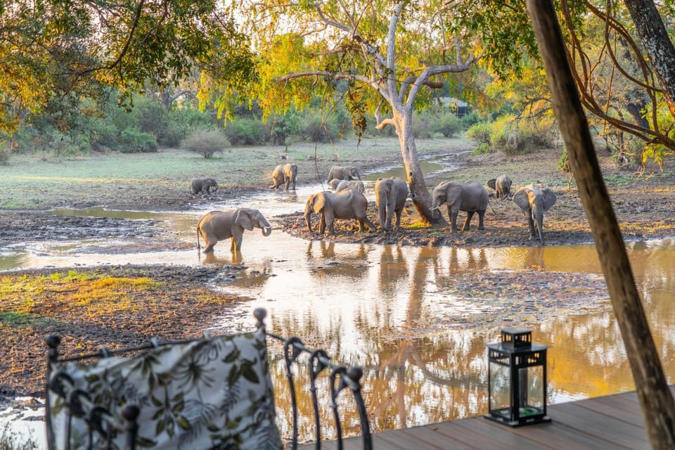 Painted Dogs Lagoon Nature lodge in Zambia