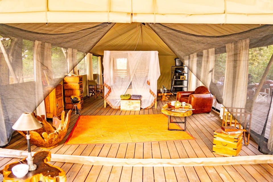 Painted Dogs Lagoon Nature lodge in Zambia
