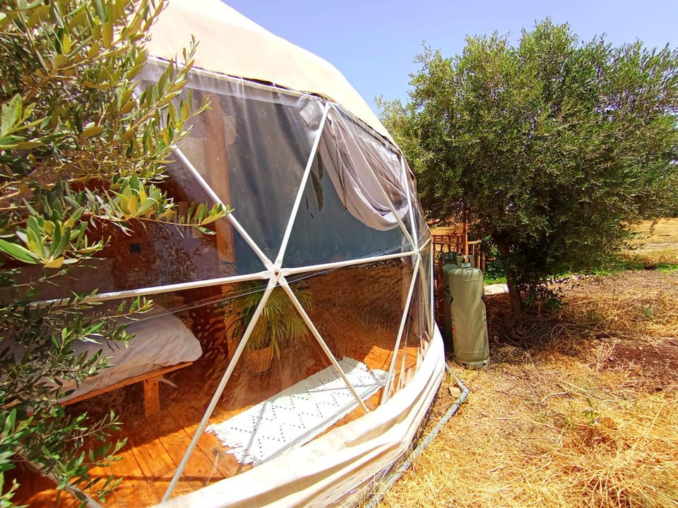 Olive Dome 2 - כיפה גיאודזית קטנה ומודרנית בין עצי הזית Luxury tent in North District