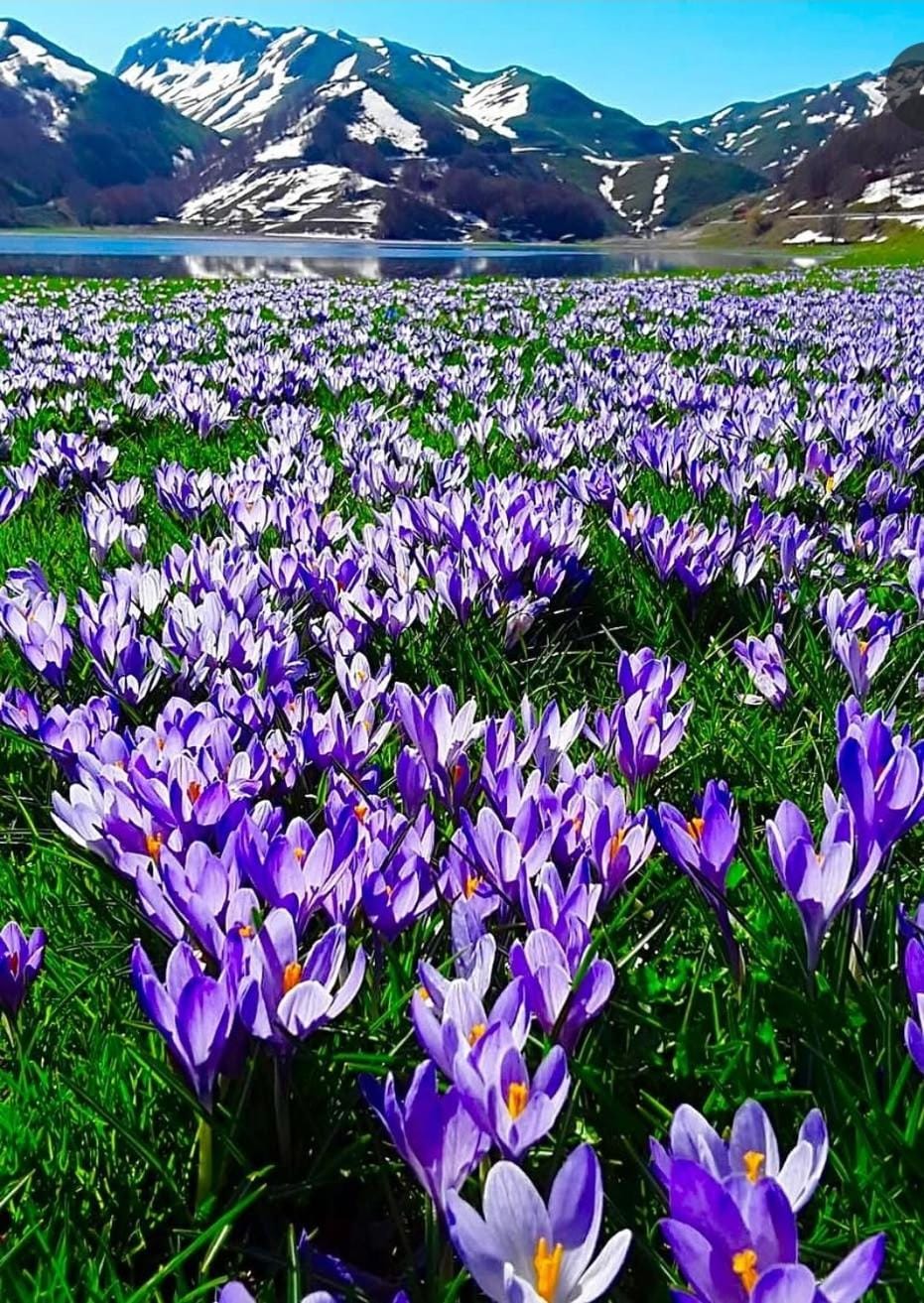 Nearby landmark, Natural landscape, Mountain view