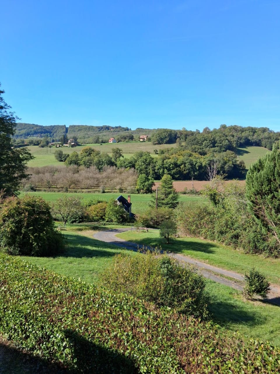 Natural landscape, Garden view