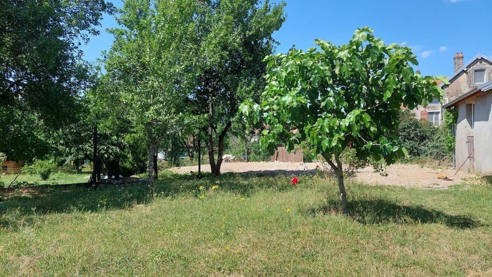 Garden, Garden view
