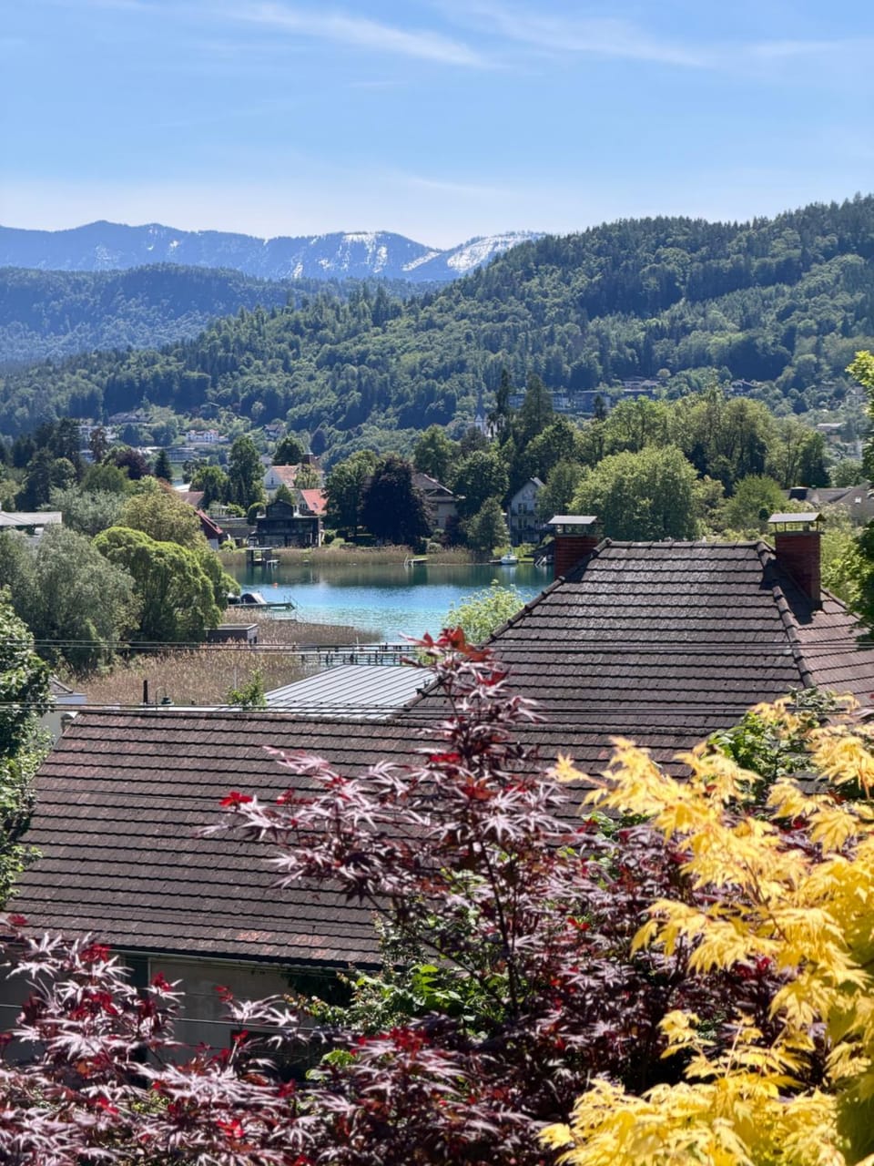 Lake view